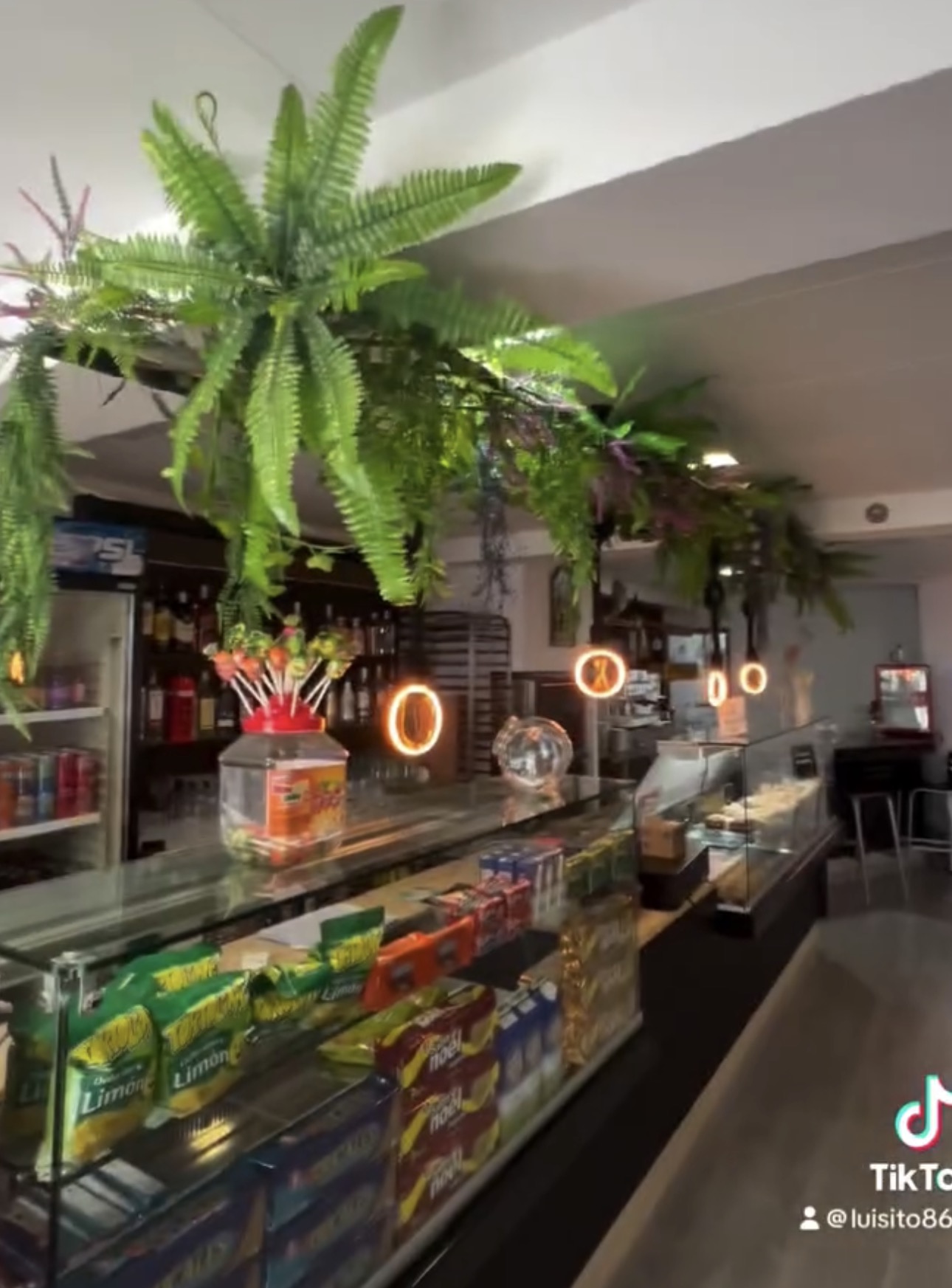 Interior de El Parxhe 83 con plantas colgantes y luces de neón